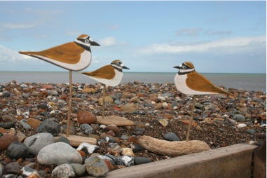 Little ringed plovers by Trevor Dingle