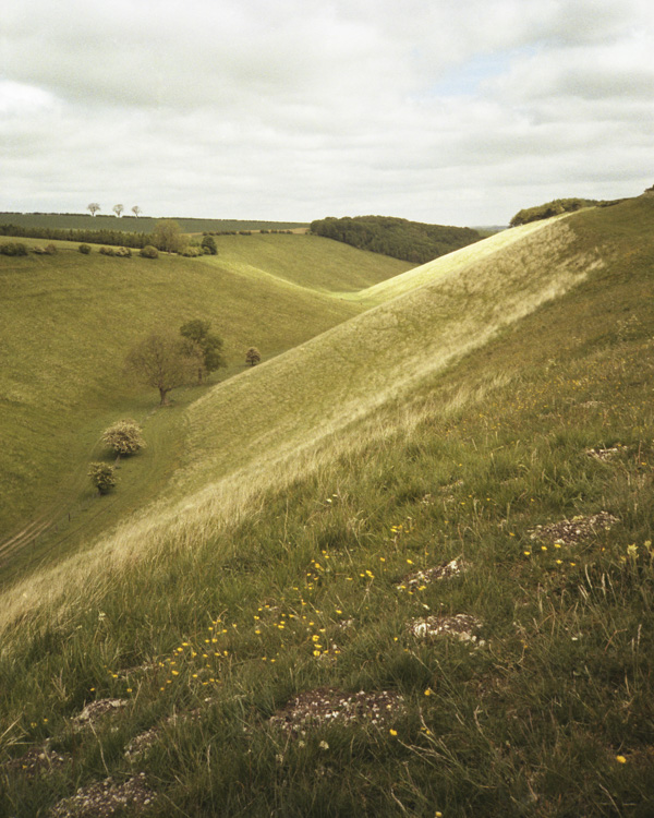 Grass Dale East Yorkshire