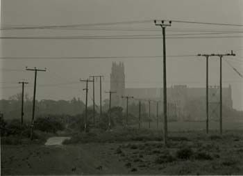 Beverley Minster with rabbits